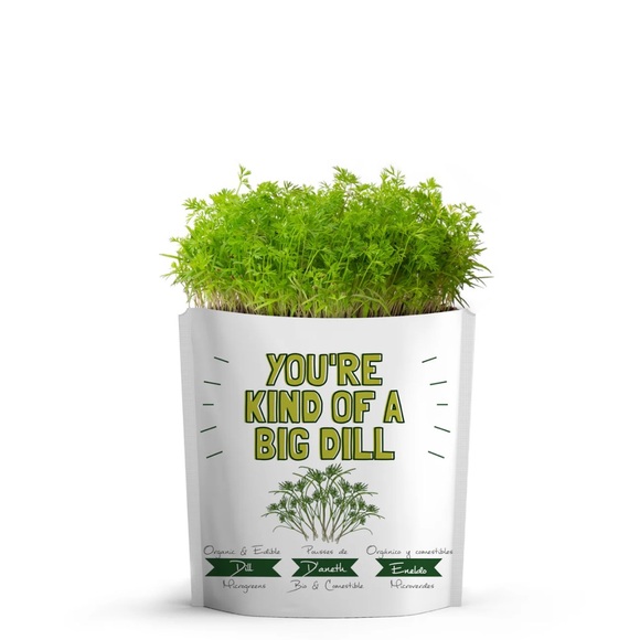 You’re kind of a big dill greeting card with dill seeds - Picture 3 of 3